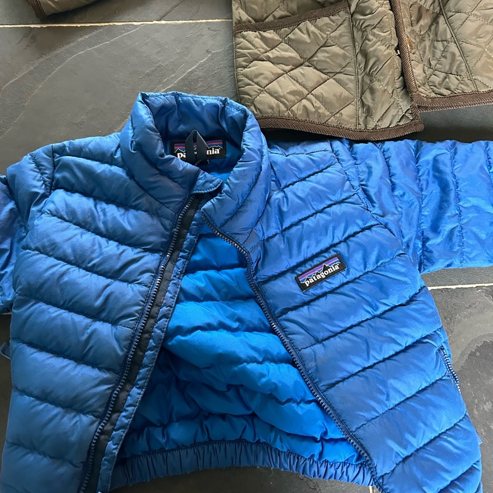 Patagonia Vibrant Blue Quilted Jacket